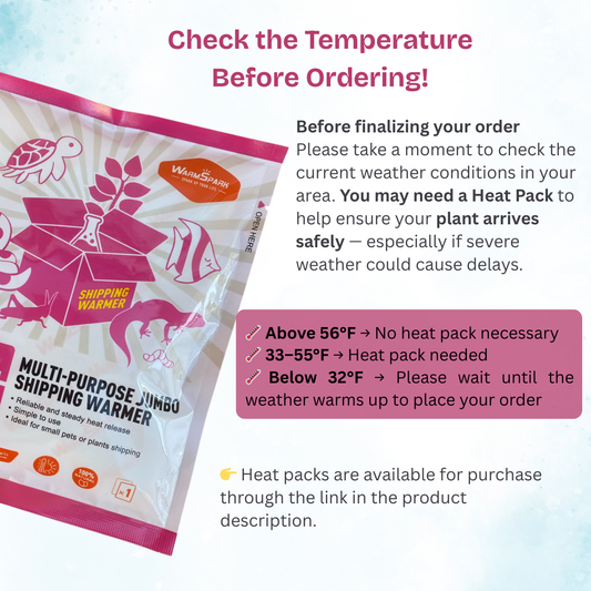 Heat Pack for Live Plant Shipping – Cold Weather Protection